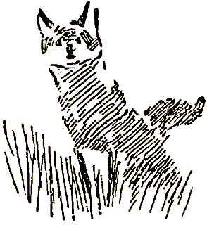 Маленькие дикари (Рисунки автора) - i_085.png
