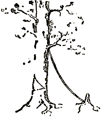 Маленькие дикари (Рисунки автора) - i_099.png