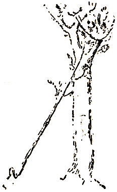 Маленькие дикари (Рисунки автора) - i_112.png