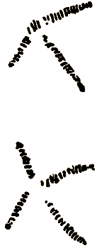 Маленькие дикари (Рисунки автора) - i_115.png