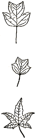 Маленькие дикари (Рисунки автора) - i_134.png
