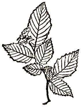 Маленькие дикари (Рисунки автора) - i_159.png