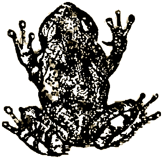 Маленькие дикари (Рисунки автора) - i_185.png