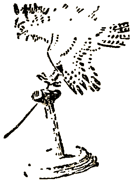 Маленькие дикари (Рисунки автора) - i_197.png