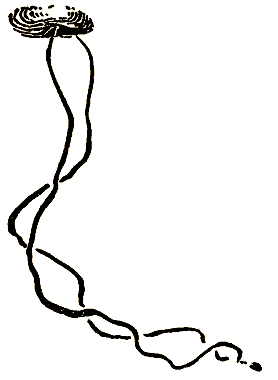 Маленькие дикари (Рисунки автора) - i_200.png