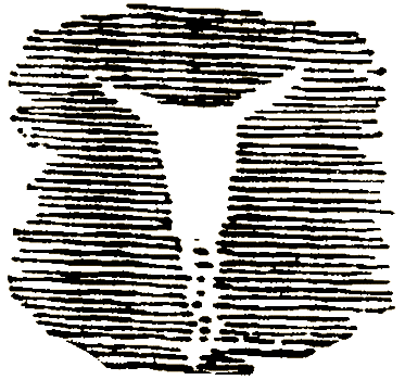 Маленькие дикари (Рисунки автора) - i_201.png
