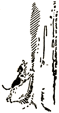 Маленькие дикари (Рисунки автора) - i_210.png
