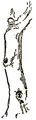 Маленькие дикари (Рисунки автора) - i_217.png