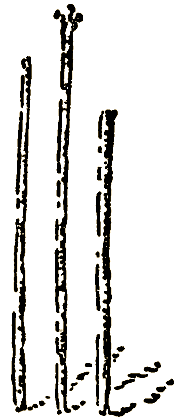 Маленькие дикари (Рисунки автора) - i_218.png