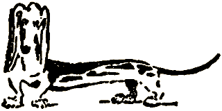 Маленькие дикари (Рисунки автора) - i_230.png