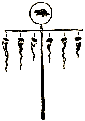 Маленькие дикари (Рисунки автора) - i_239.png