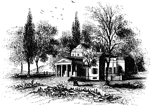 Погоня. Тайна доктора Николя. Невидимая рука - i_005.png