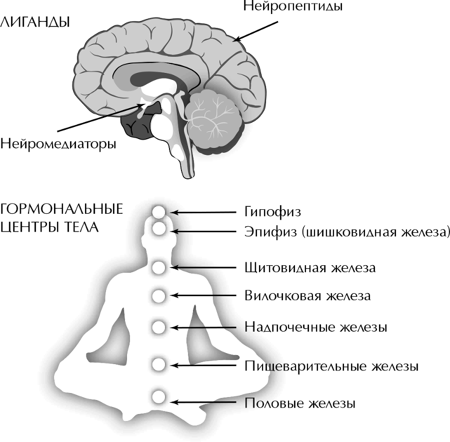 Сила подсознания, или Как изменить жизнь за 4 недели - i_007.png