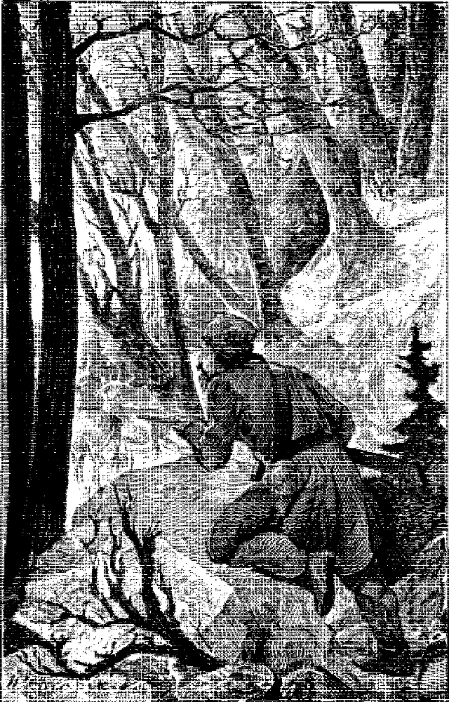 Записки охотника Восточной Сибири - i_021.png