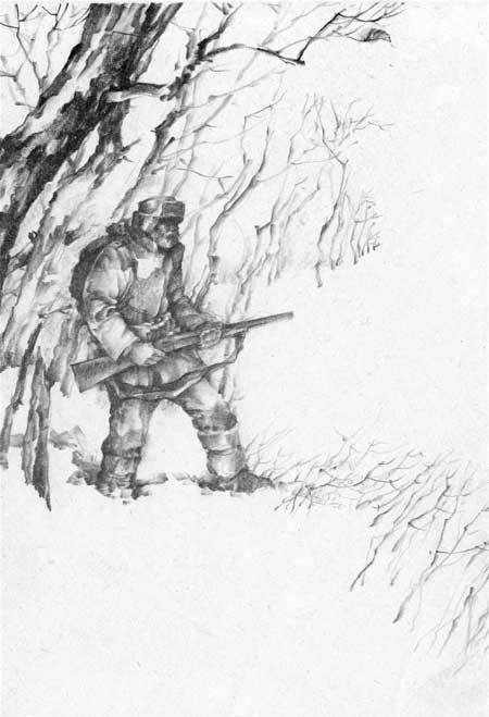 Под знаком тигра - i_049.jpg