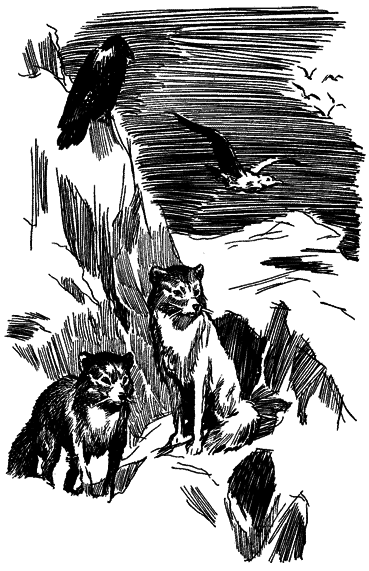 Повесть о белой медведице - _6.png