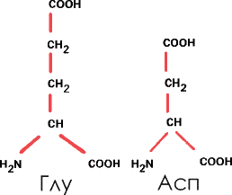 Аксиомы биологии - p_02.png