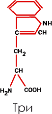 Аксиомы биологии - p_06.png