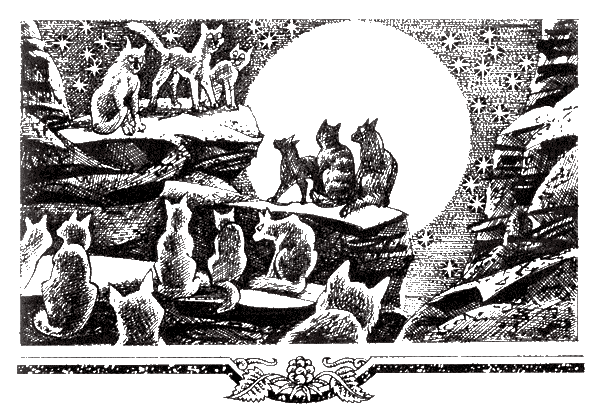 Судьба Небесного племени. Сомнение - i_014.png