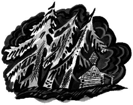 Лебединый крик (сборник) - i_002.png