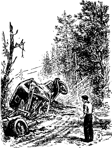 Васек Трубачев и его товарищи (книга 2) - i_009.png