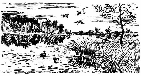 Охотничьи тропы - i_030.png