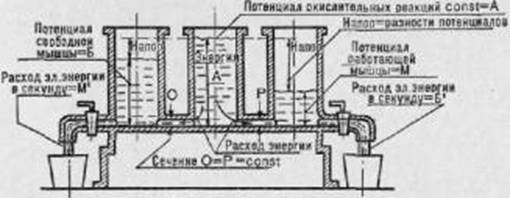 Активное долголетие (Моя система борьбы со старостью) - pic_37.jpg