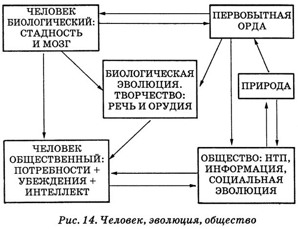 Энциклопедия Амосова. Алгоритм здоровья - i_041.png
