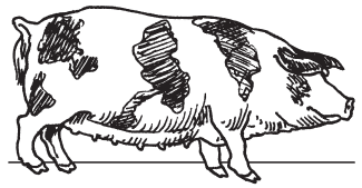 Полная энциклопедия фермера - i_024.png