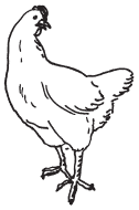 Полная энциклопедия фермера - i_066.png