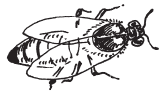 Полная энциклопедия фермера - i_096.png