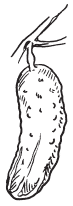 Полная энциклопедия фермера - i_116.png