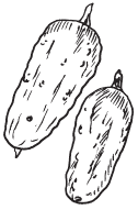 Полная энциклопедия фермера - i_117.png