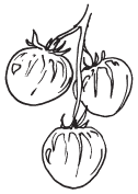 Полная энциклопедия фермера - i_125.png