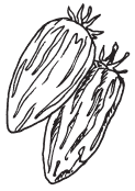 Полная энциклопедия фермера - i_127.png