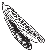 Полная энциклопедия фермера - i_130.png