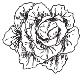 Полная энциклопедия фермера - i_143.png