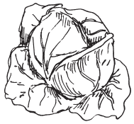 Полная энциклопедия фермера - i_144.png