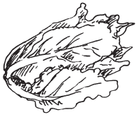 Полная энциклопедия фермера - i_147.png