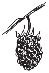 Полная энциклопедия фермера - i_177.png