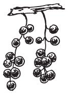 Полная энциклопедия фермера - i_182.png