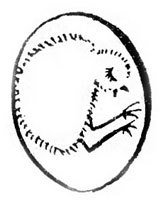 Хочу все знать 1970 - _113_Agg.jpg
