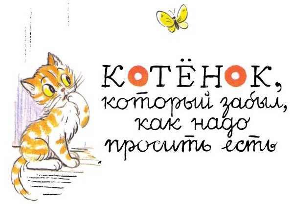 Котенок, который забыл, как надо просить есть - i_008.jpg