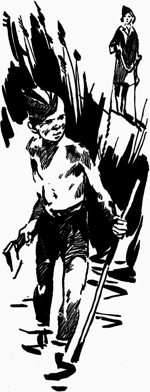 Журавли и цапли . Повести и рассказы - i_018.png