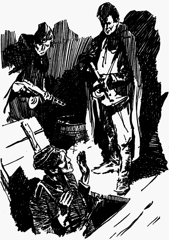 Журавли и цапли . Повести и рассказы - i_021.png
