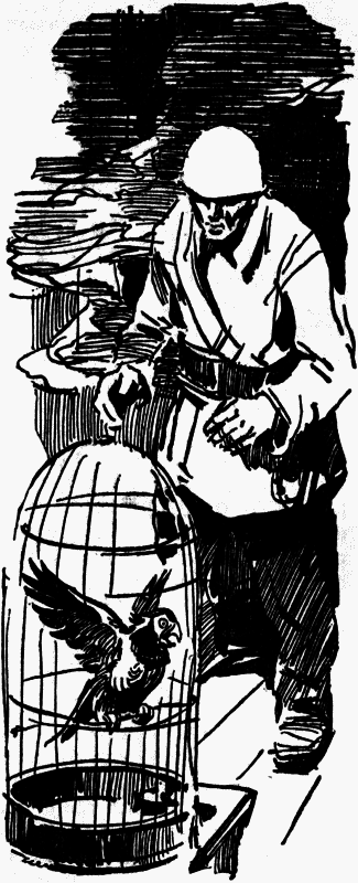 Журавли и цапли . Повести и рассказы - i_026.png