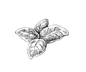 365 рецептов на каждый день - i_033.png