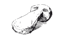 365 рецептов на каждый день - i_067.png