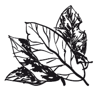 365 рецептов на каждый день - i_083.png