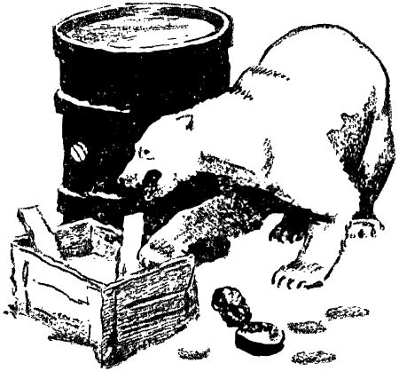 Солнечная Северяния - i_012.png